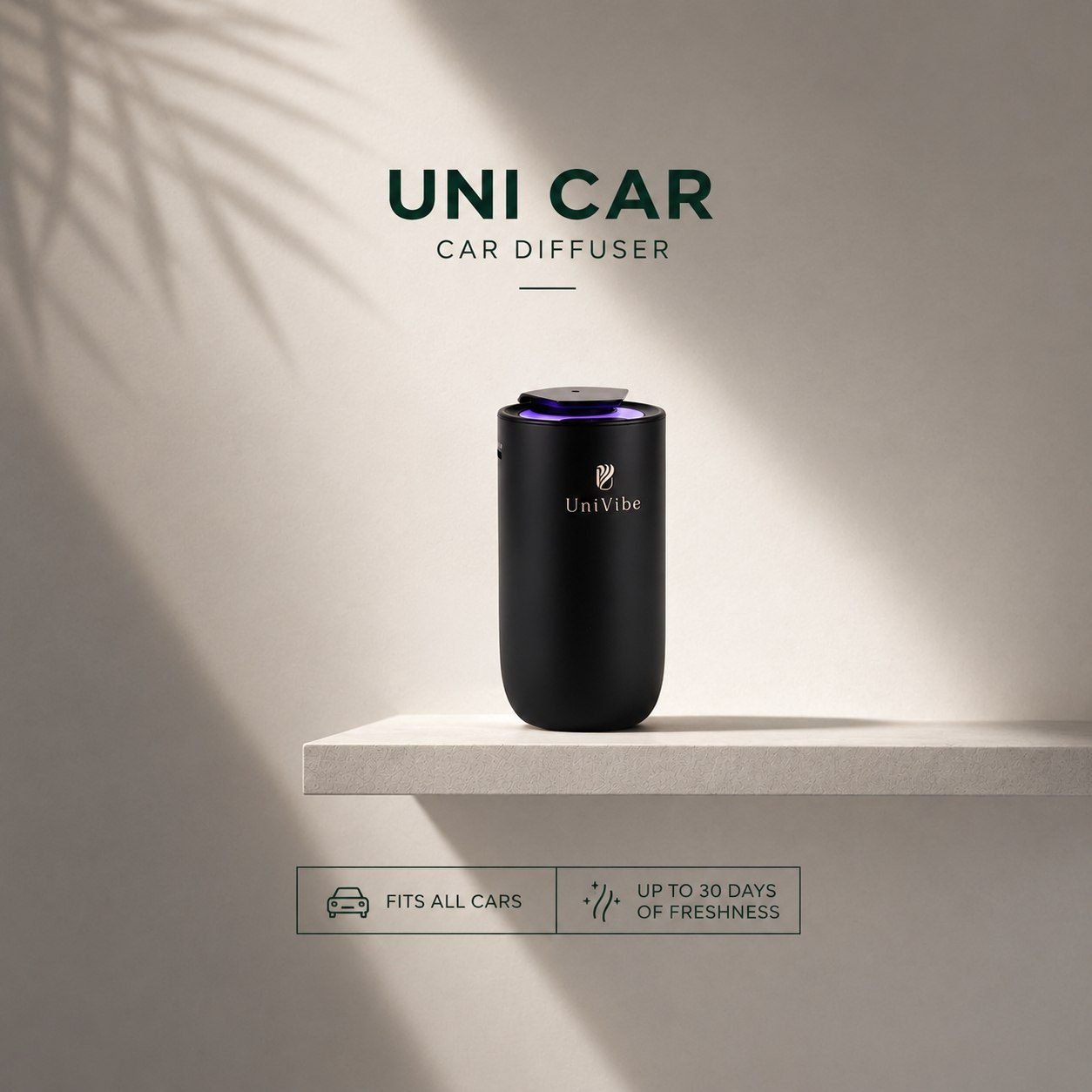 Car Scent Diffusre